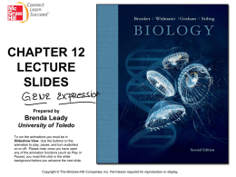 CHAPTER 12 LECTURE SLIDES Prepared by Brenda Leady