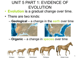 UNIT 5 PART 1 EVIDENCE OF EVOLUTION