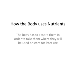 How the Body uses Nutrients