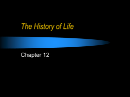 Chapter 12 History of Life