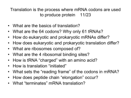 Translation is the process where mRNA codons are used to produce