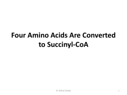 Four Amino Acids Are Converted to Succinyl-CoA