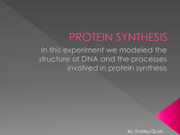 protein synthesis - Jannali