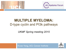 multiple myeloma: D-type cyclin and PI3k pathways — Prof