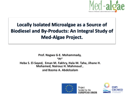 Med- Algae Project Identification