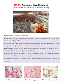 dia-bio-compound-microbial-agent-rhodobacter