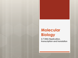 Molecular Biology - hrsbstaff.ednet.ns.ca