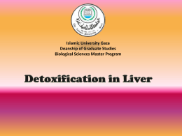 Detoxification in Liver