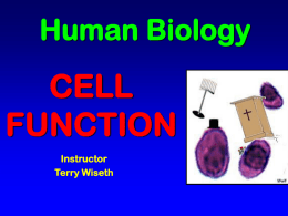 Cell Function - biologyonline.us