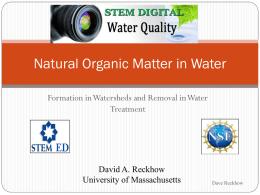 Natural Organic Matter (NOM)