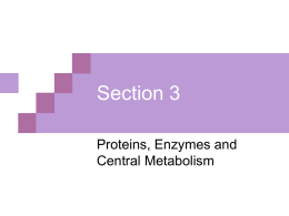 Section 5.3: Proteins - Clayton State University