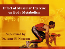Effect of Muscular Exercise on Body Metabolism