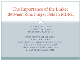 The Importance of the Linker Between Zinc Finger Sets in MBNL