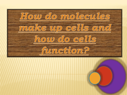 Biological Molecules continued
