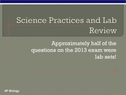 04 Lab Review PPT