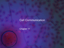 CellCommunication11