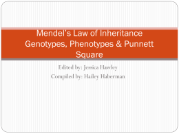 Mendel`s Law of Inheritance