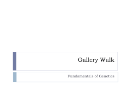 Fund of Genetics Gallery Walkx
