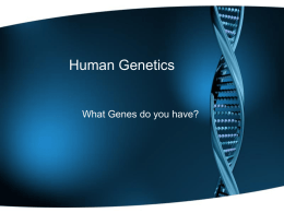 Human Genetics - cloudfront.net