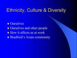 ethnicity culture and diversity
