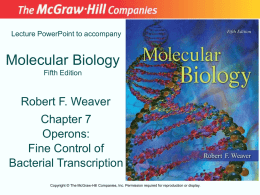 Chapter 07 Lecture PowerPoint - McGraw Hill Higher Education