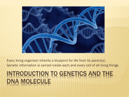 1. Yr10 GENETICS MA