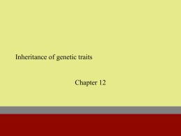 Inheritance of genetic traits
