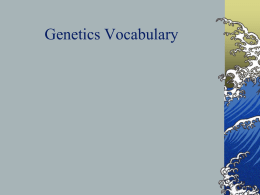 Genetics Vocabulary - Mayfield City Schools