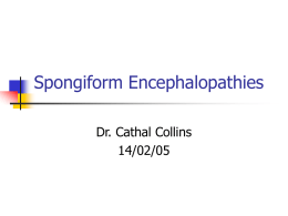 Spongiform-Encephalopathies