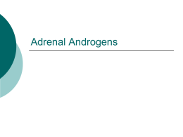 13 Adrenal Androgens2013-02-19 00:58488 KB