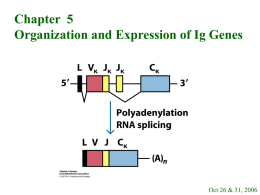 Defects in Ig-Gene Rearrangements