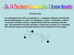 Ch. 14 The Human Genome-Sec. 1 Human Heredity