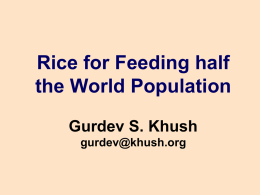 Rice for Feeding half the World Population
