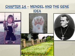 Chapter 14 * Mendel and the gene idea