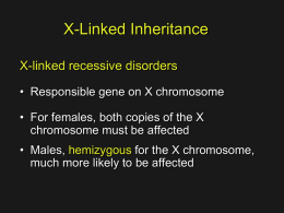 X chromosome Inactivation