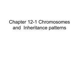 12-1 Chromosomes and Inheritance patterns
