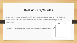 Bell Work 2/9/2015