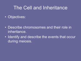 The Cell and Inheritance