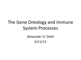 The Gene Ontology and Immune System Processes