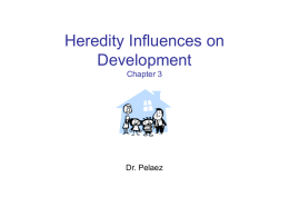 Heredity Influences on Development Chapter 3