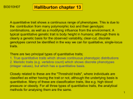 E-Halliburton chapter 13