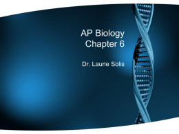 AP Biology Chapter 6