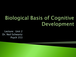 Biological Basis of Cognitive Development