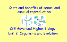 5. Costs and benefits of sexual reproduction