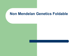 Non Mendelan Genetics Foldable