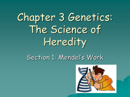 Chapter 3 Genetics Notes
