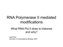 RNA Polymerase II mediated modifications - CS
