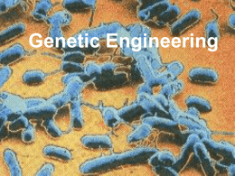 b. genetic engineering.