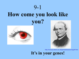 Mendel Discovers “Genes” 9-1