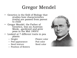 Gregor Mendel - Aurora City Schools